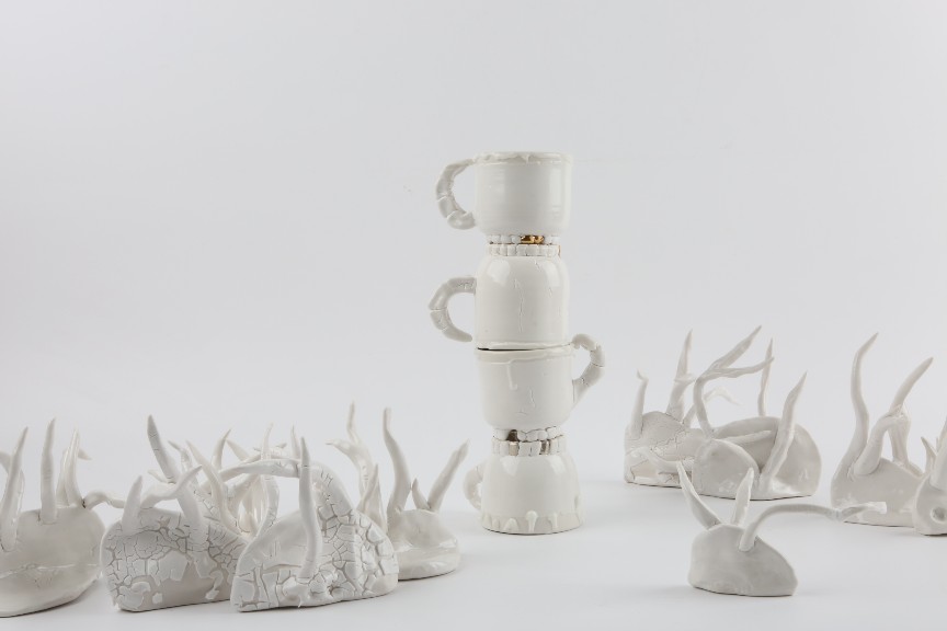 썩은 이를 정리하는 방법